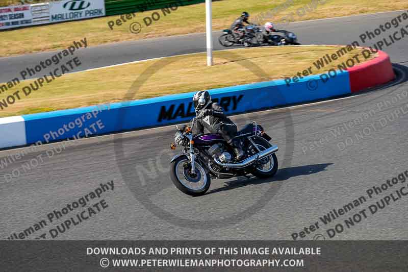 Vintage motorcycle club;eventdigitalimages;mallory park;mallory park trackday photographs;no limits trackdays;peter wileman photography;trackday digital images;trackday photos;vmcc festival 1000 bikes photographs